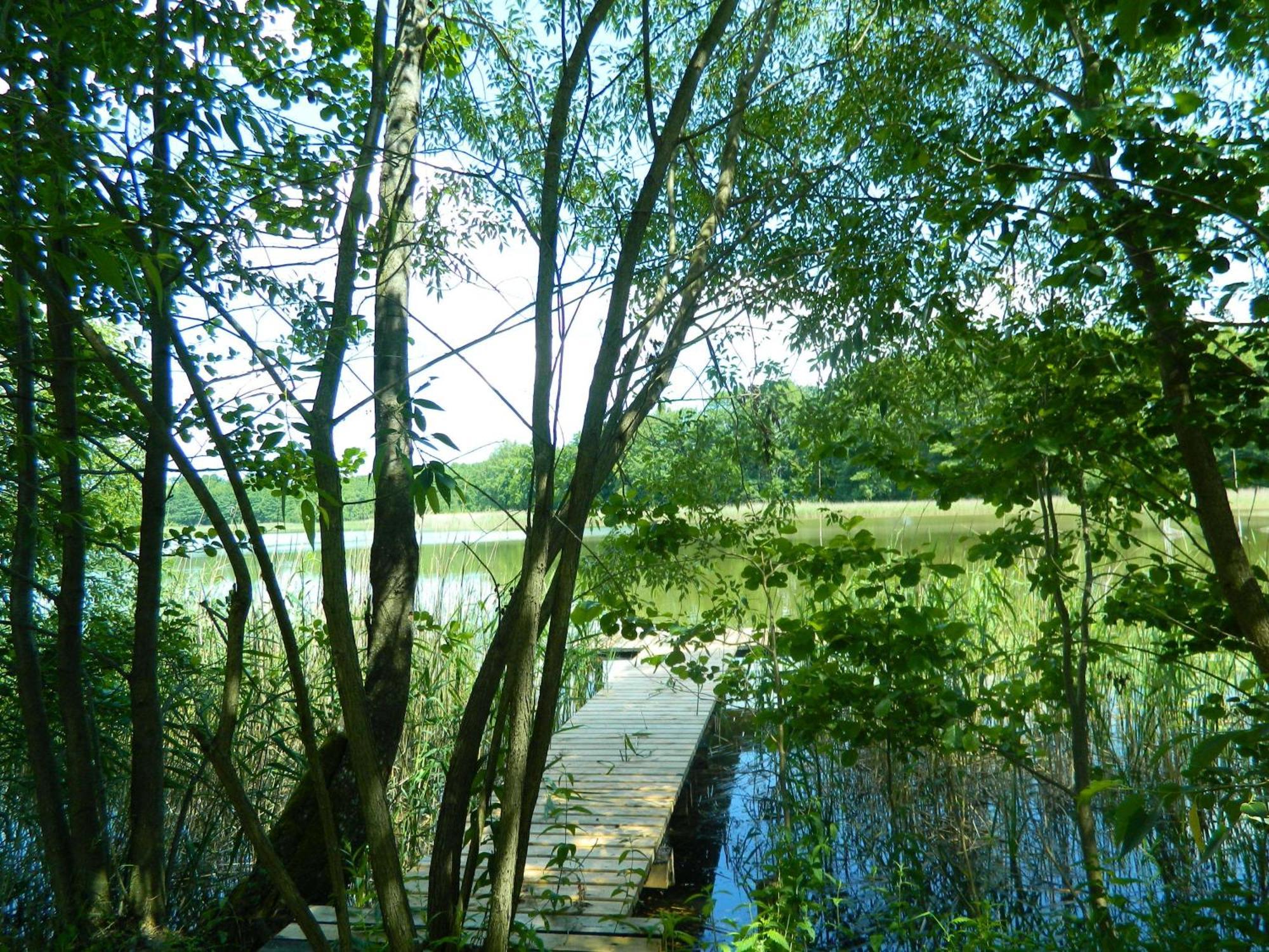 Siedlisko Agroturystyczne Mrągowo Exterior foto